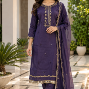 Dark Purple Glass Fabric Mirror Work Suit
